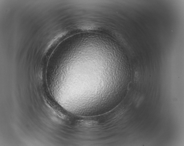 X0000077280539200610271501