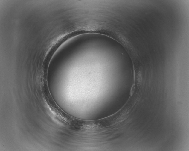 X0000077280540200610271501