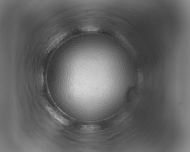 X0000077280541200610271501