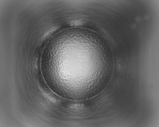 X0000077280543200610271501