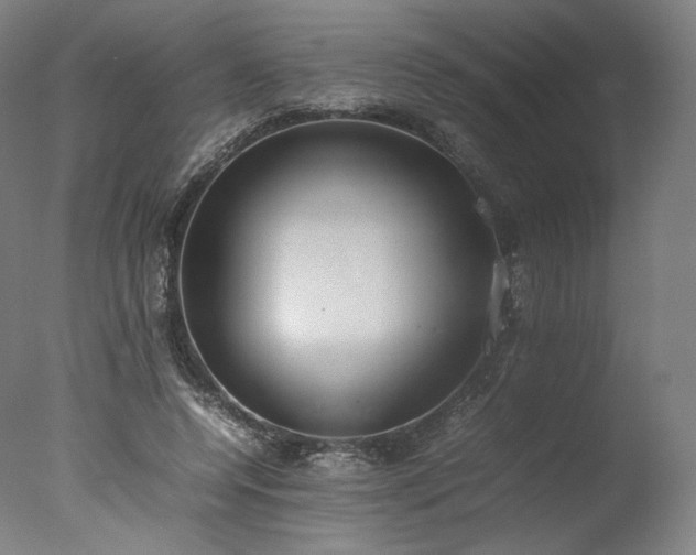 X0000077280544200610271501