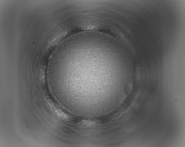 X0000077280545200610271501