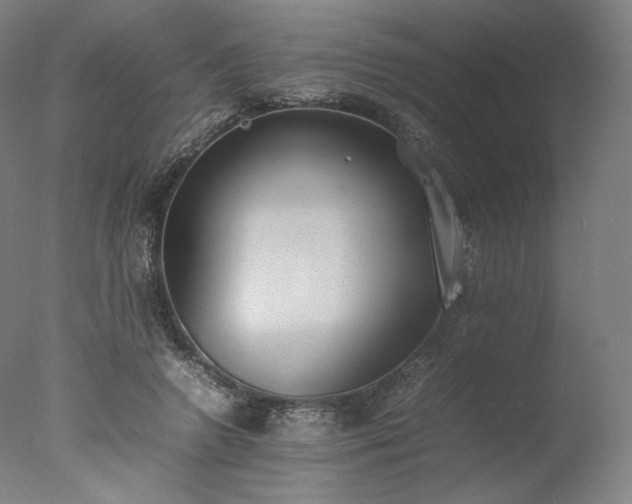 X0000077280546200610271501