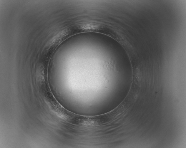 X0000077280547200610271501