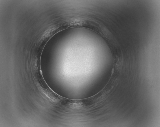 X0000077280548200610271501