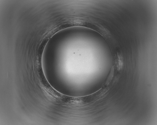 X0000077280552200610271501