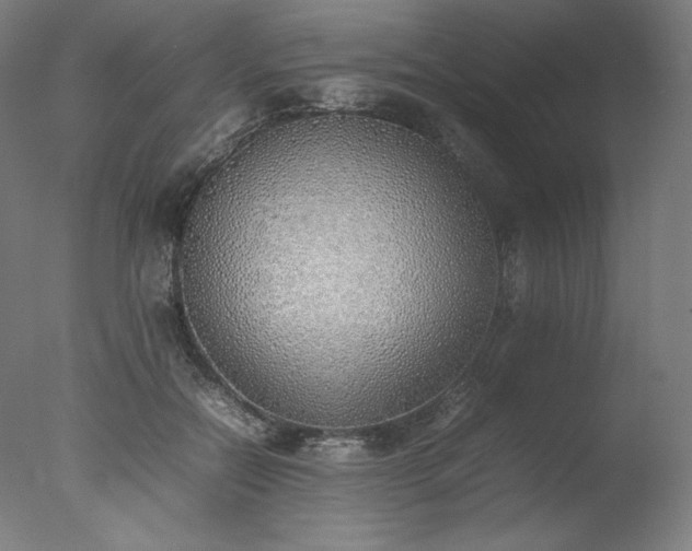 X0000077280554200610271501