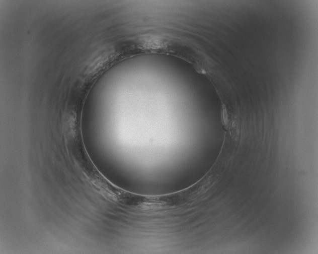 X0000077280556200610271501