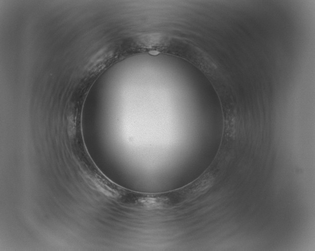 X0000077280558200610271501