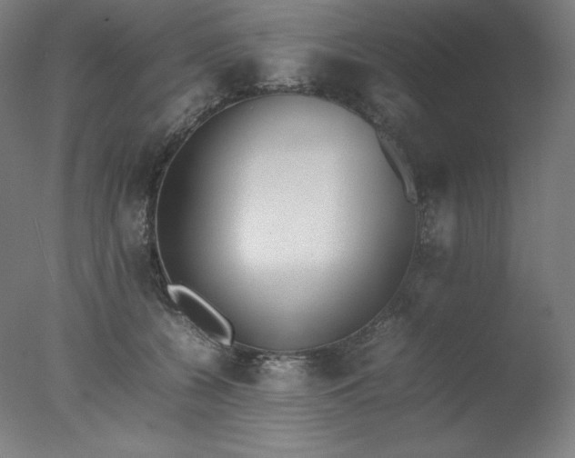 X0000077280560200610271501