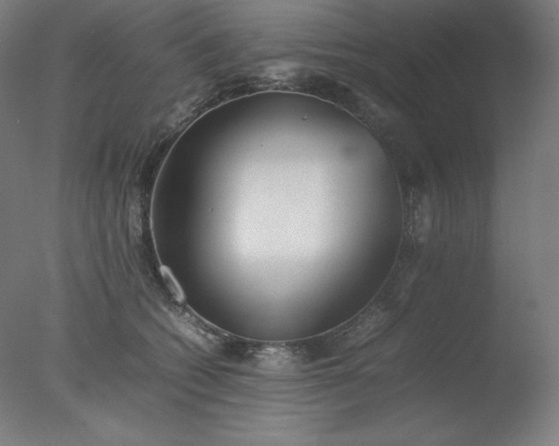 X0000077280562200610271501