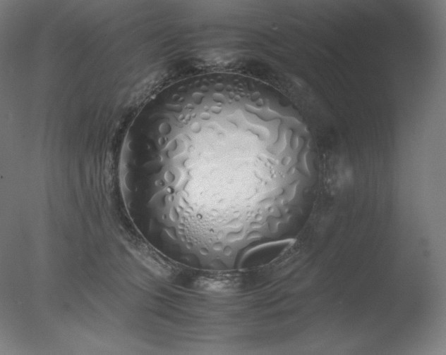 X0000077280563200610271501