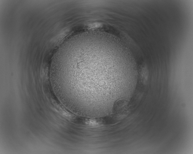 X0000077280565200610271501