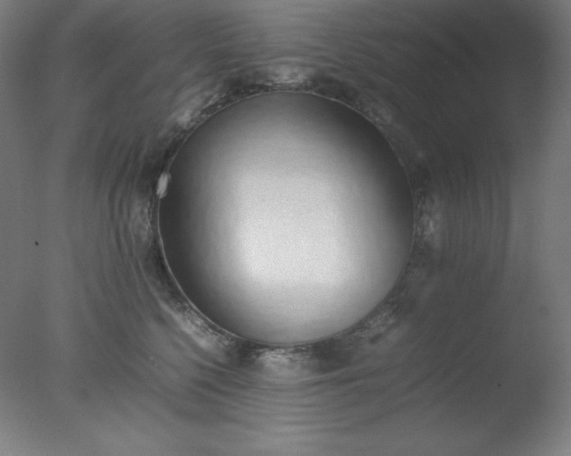 X0000077280568200610271501