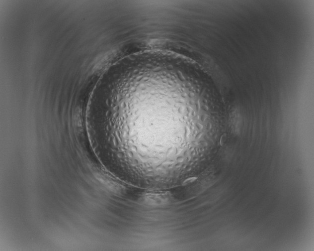 X0000077280571200610271501
