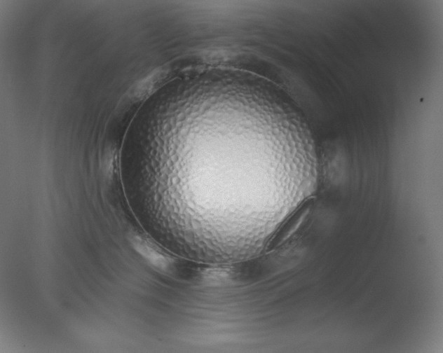 X0000077280574200610271502