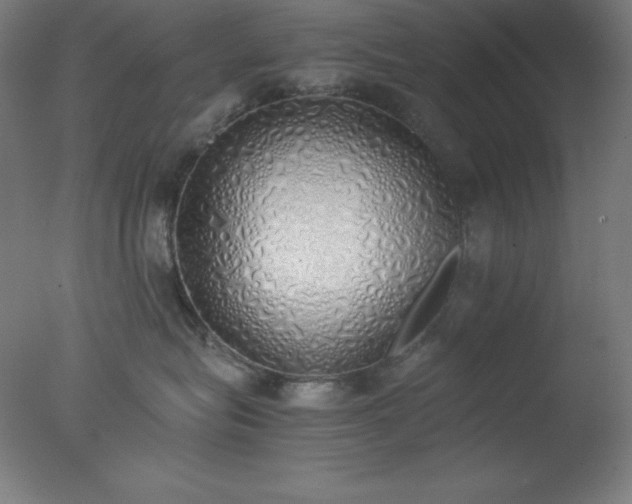 X0000077280575200610271502