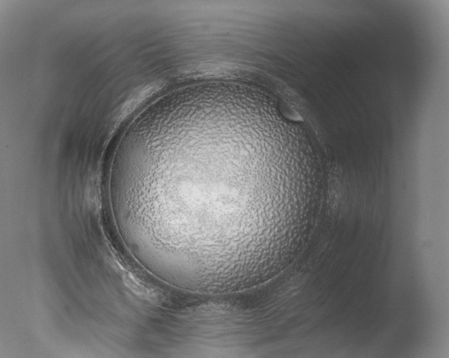 X0000077280578200610271501