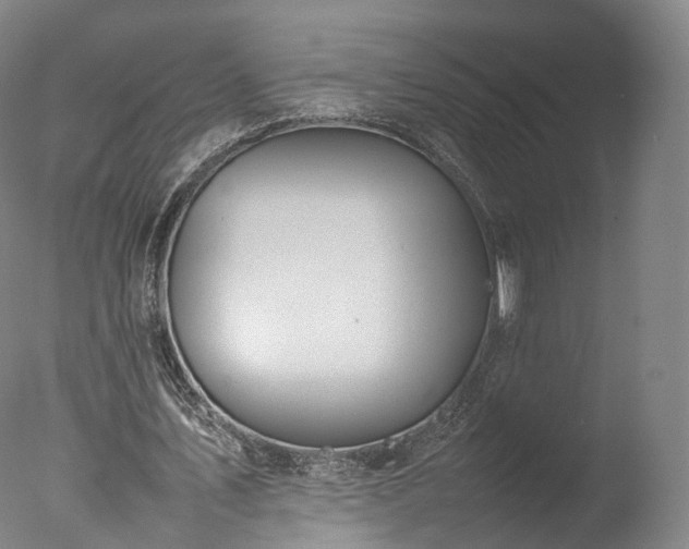 X0000077280579200610271501
