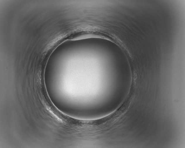 X0000077280581200610271501