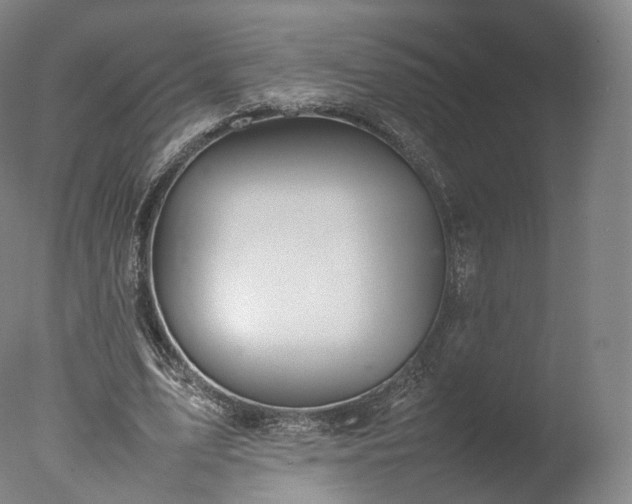 X0000077280583200610271501