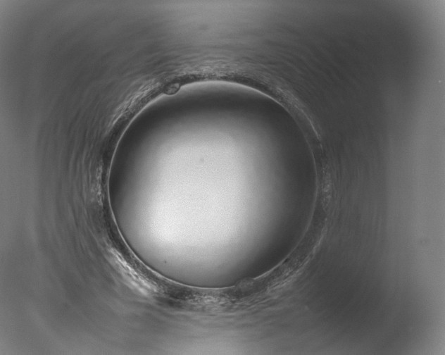 X0000077280585200610271501