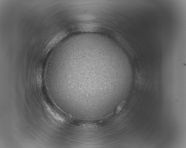 X0000077280586200610271501