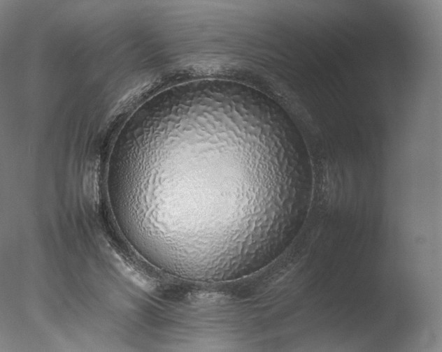 X0000077280590200610271501
