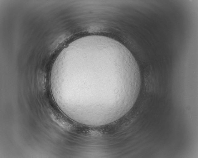 X0000077280592200610271500