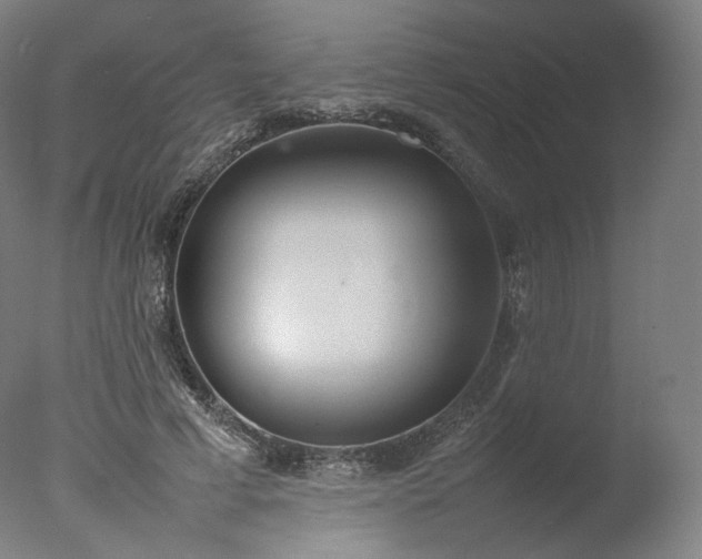 X0000077280593200610271500