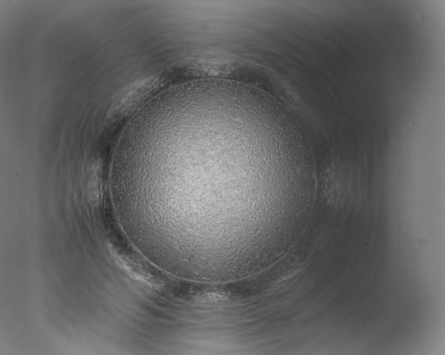 X0000077280594200610271500