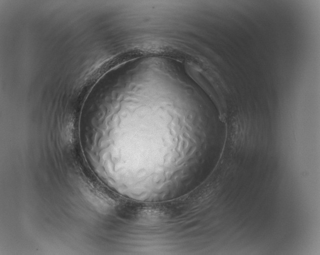X0000077280596200610271500