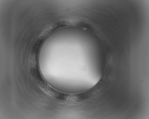 X0000077280599200610271500
