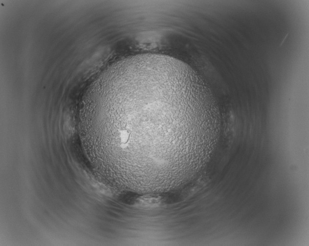 X0000077280606200610271500