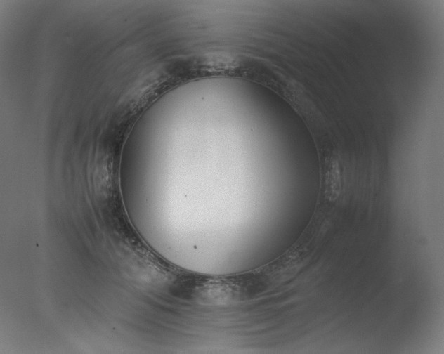 X0000077280608200610271500