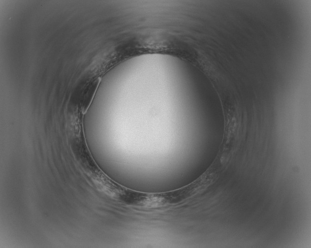 X0000077280609200610271500