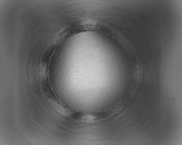 X0000077280610200610271500
