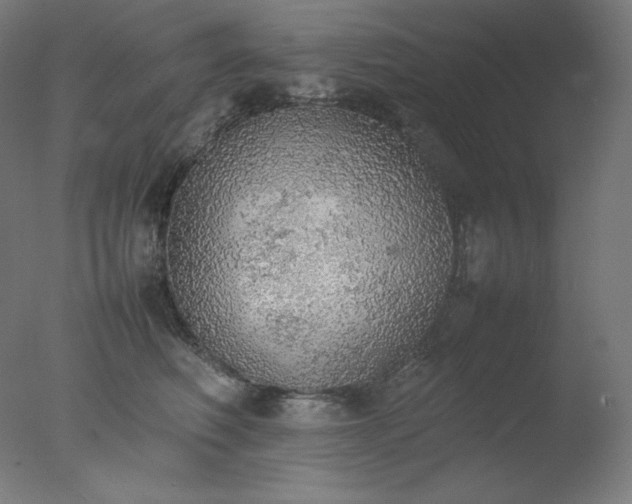 X0000077280614200610271500