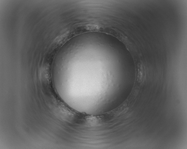 X0000077280616200610271500