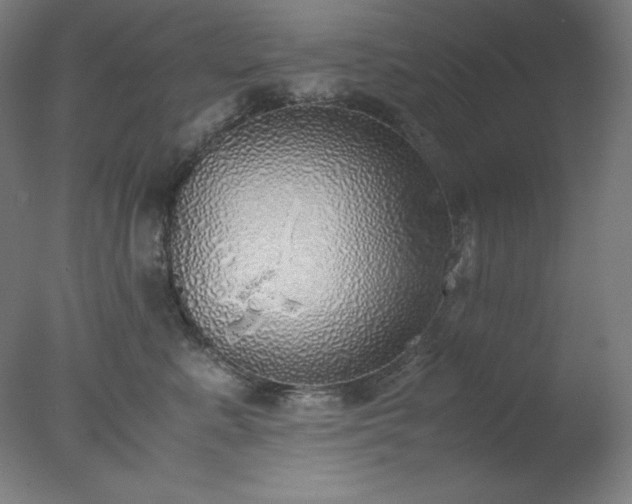 X0000077280619200610271500