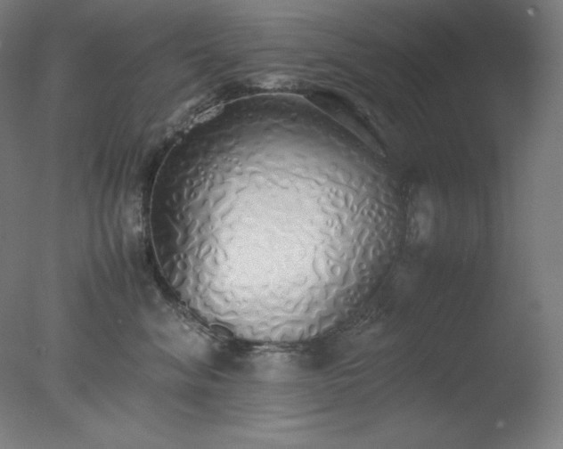 X0000077280620200610271500