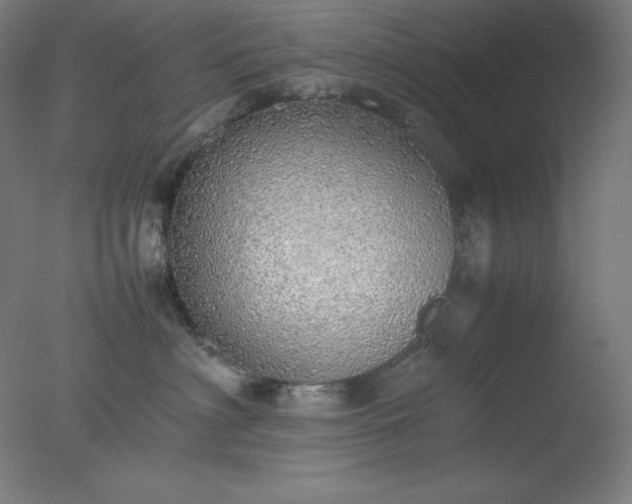 X0000077280622200610271500