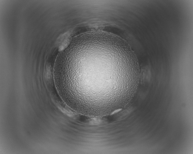 X0000077280623200610271500