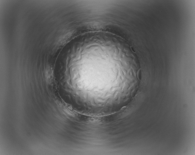 X0000077280624200610271500