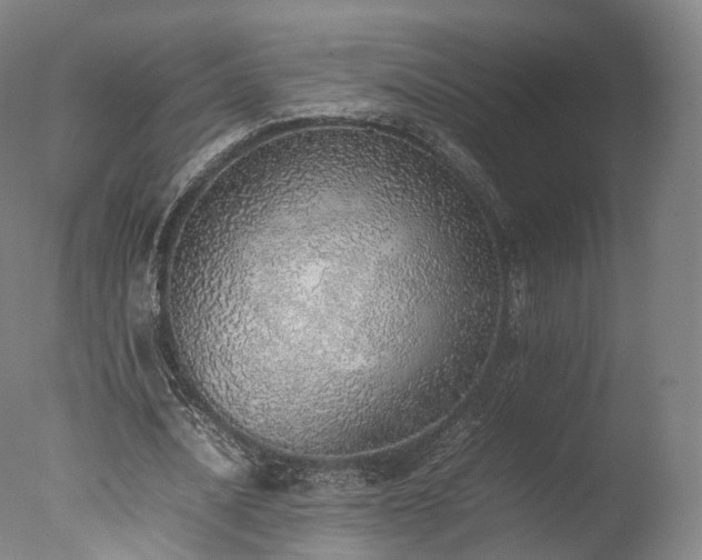 X0000077280628200610271459