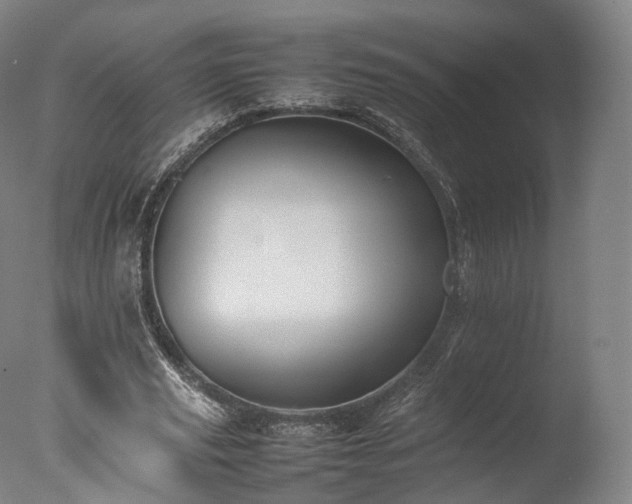 X0000077280629200610271459
