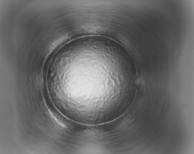 X0000077280630200610271459