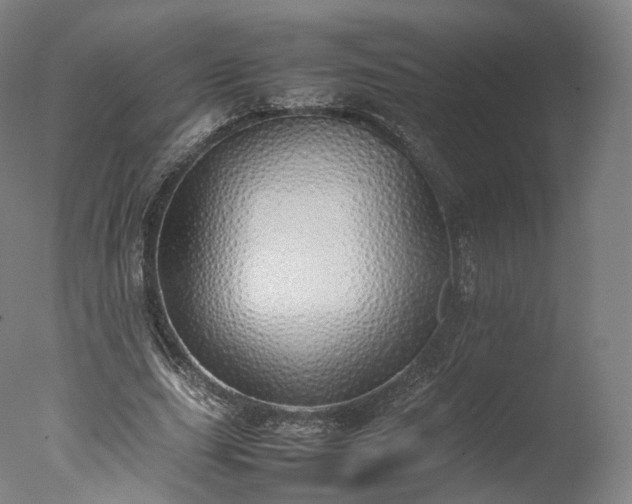 X0000077280631200610271459