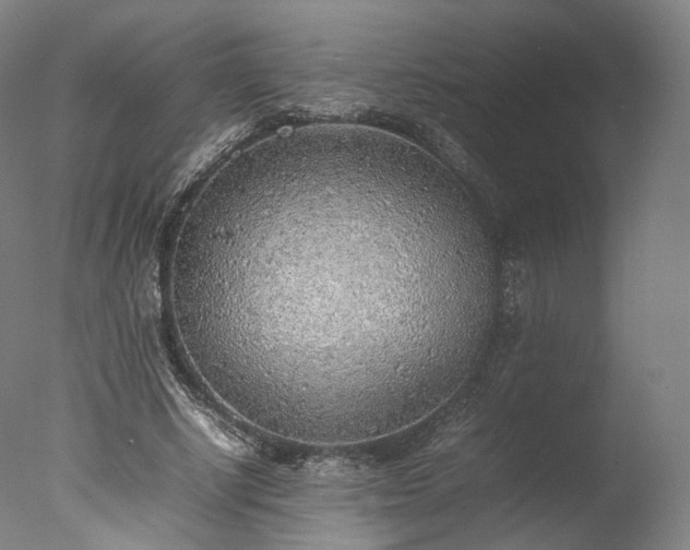 X0000077280634200610271459