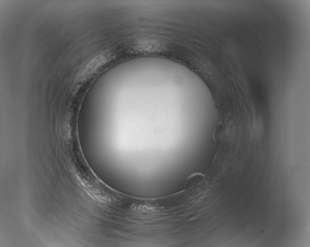 X0000077280635200610271459